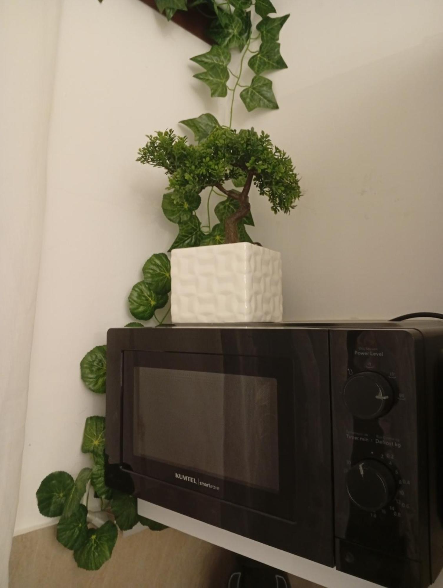 Decumani 21 Appartement *